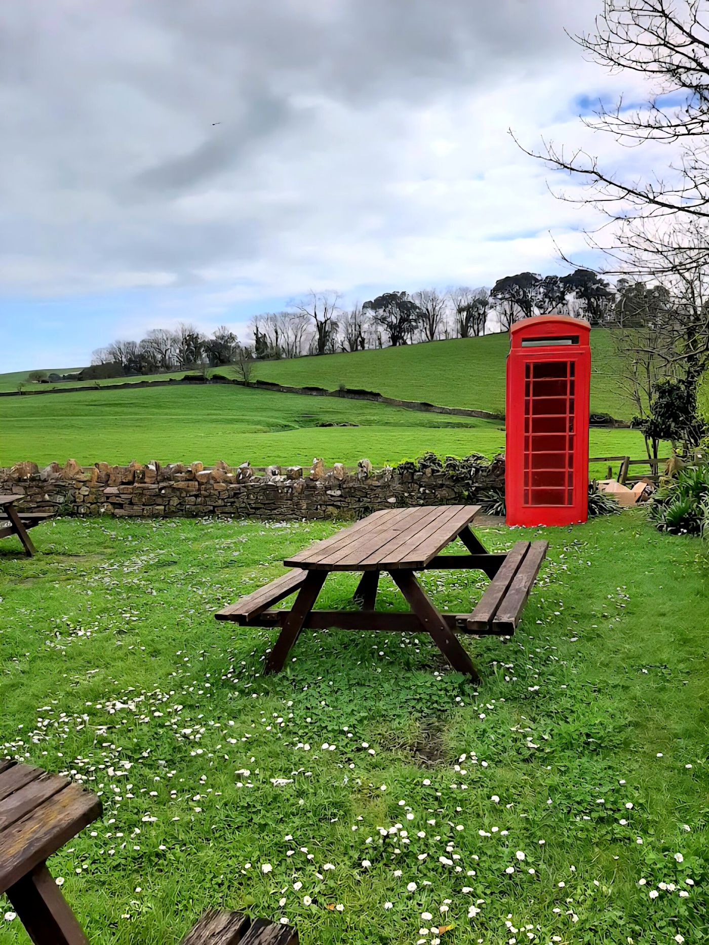 Swan Inn Abbotsbury beer garden with picnic benches, stone wall, red telephone box and Dorset countryside views