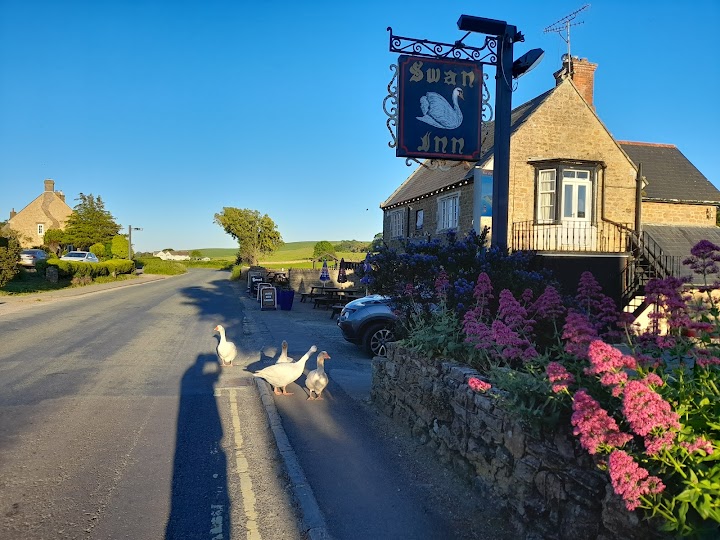 Goose outside the Swan Inn Abbotsbury acting like traffic control